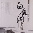 白鹿洞書院(2013年湖南大學出版社出版書籍)