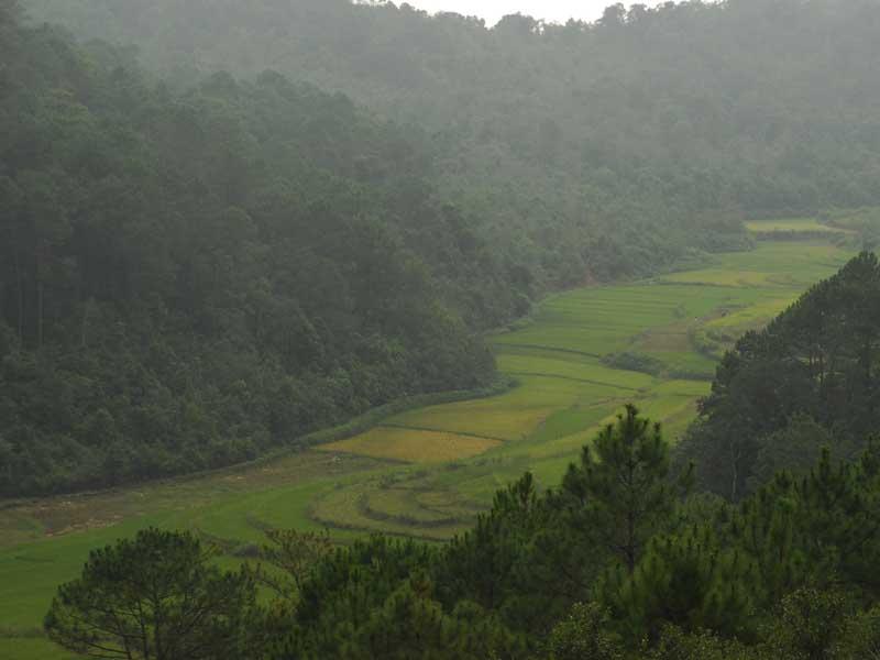 松山林村(雲南省西雙版納州景洪市景訥鄉松山林村)