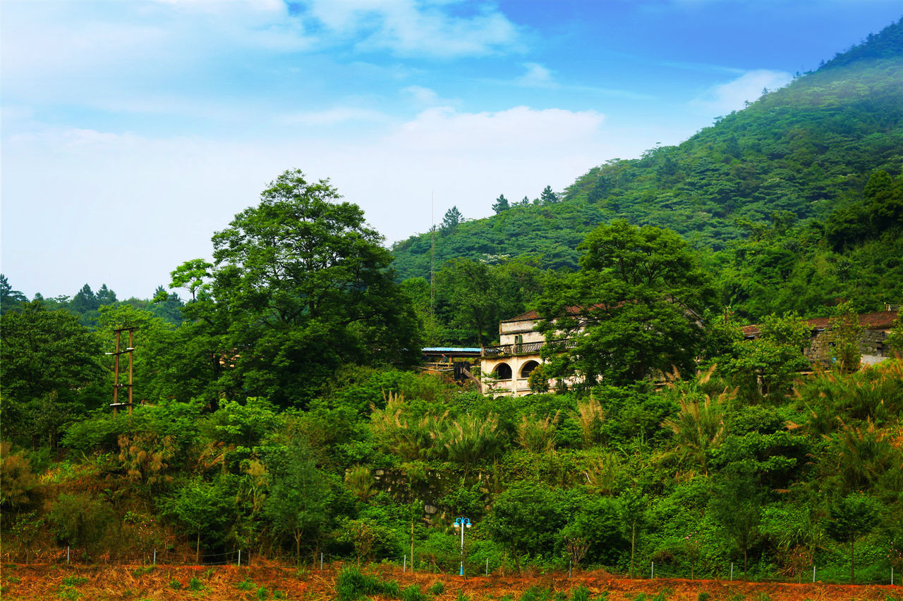 城山村(福建寧德市福安市溪潭鎮下轄村)