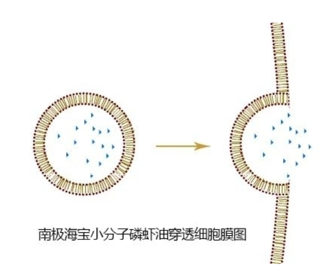 濟南極源生物科技有限公司