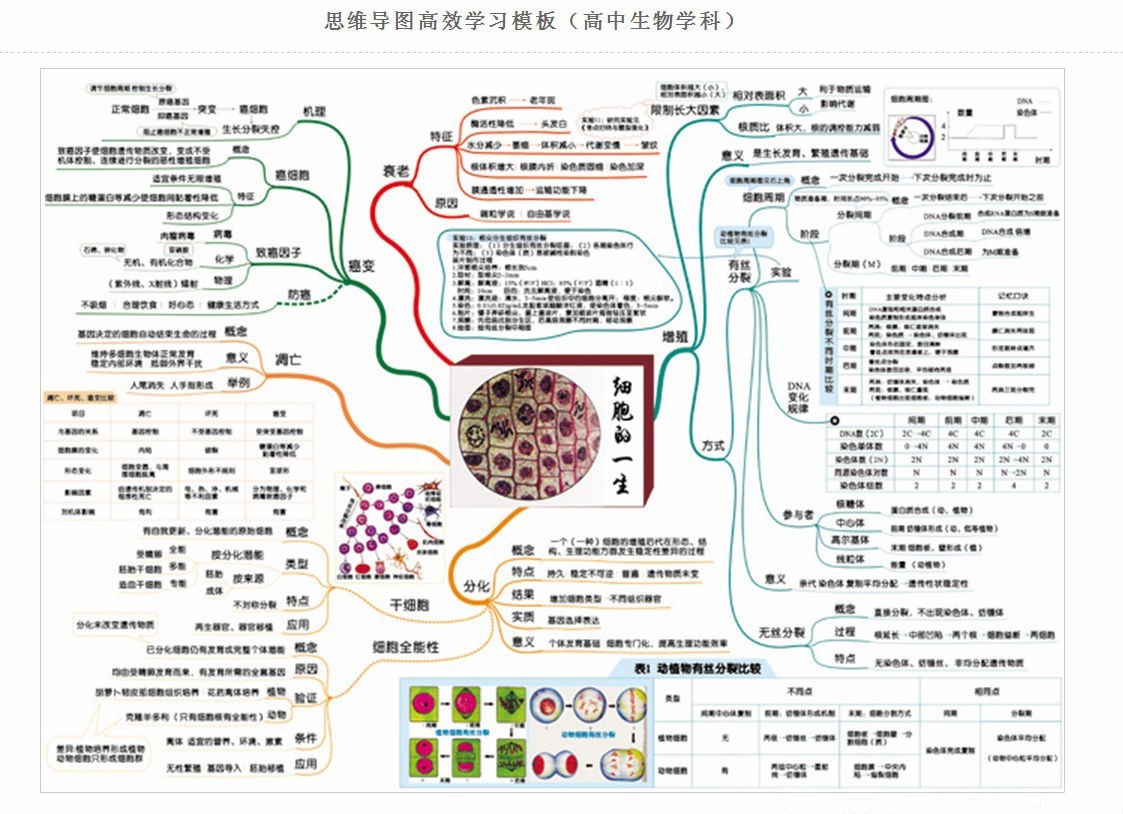 高中生物