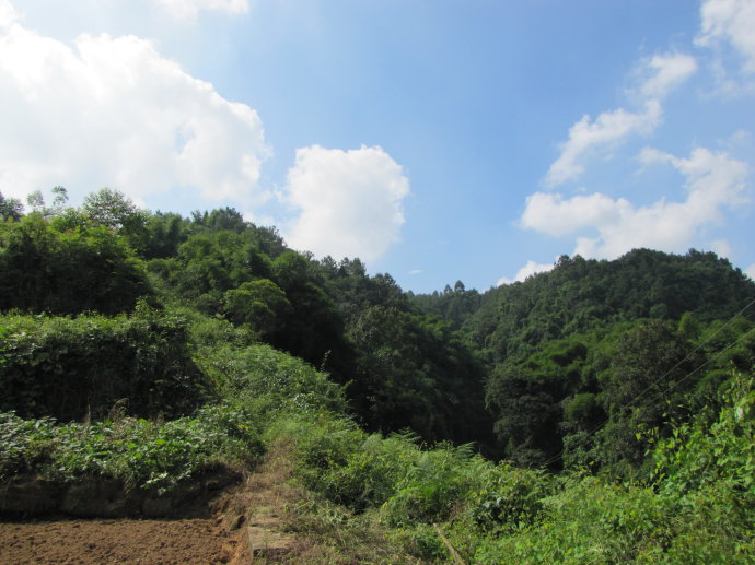 尖山子省級森林公園