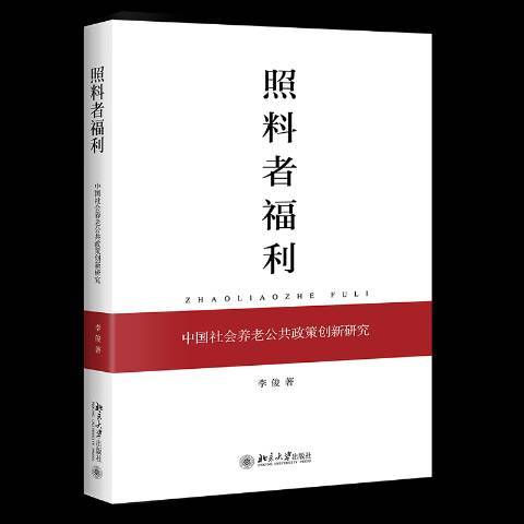 照料者福利中國社會養老公共政策創新研究