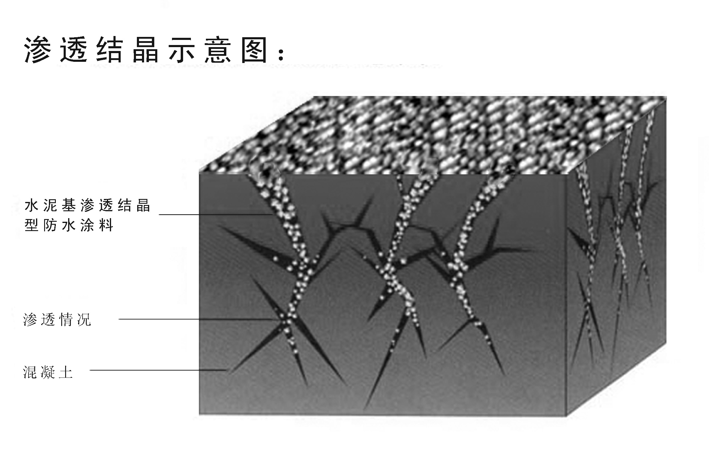 滲透(化學術語)