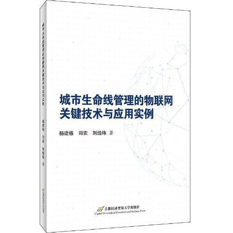 城市生命線管理的物聯網關鍵技術與套用實例