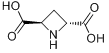 (±)-反-吖丁啶-2,4-二羧酸