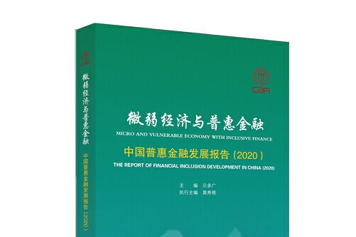 微弱經濟與普惠金融——中國普惠金融發展報告(2020)