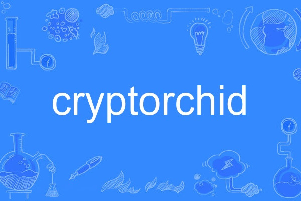 cryptorchid