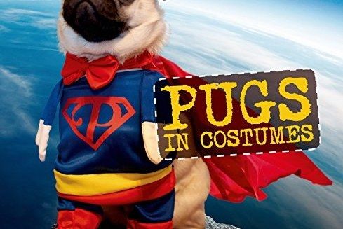 Pugs in Costumes