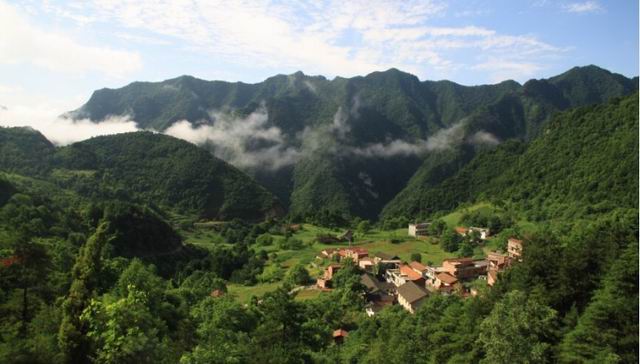 羊山村(陝西省旬陽縣羊山村)