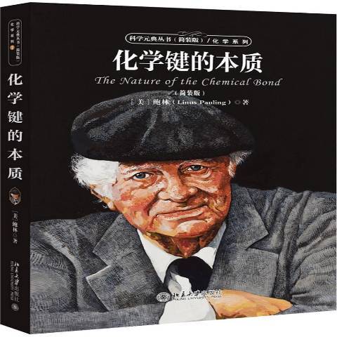 化學鍵的本質(2020年北京大學出版社出版的圖書)