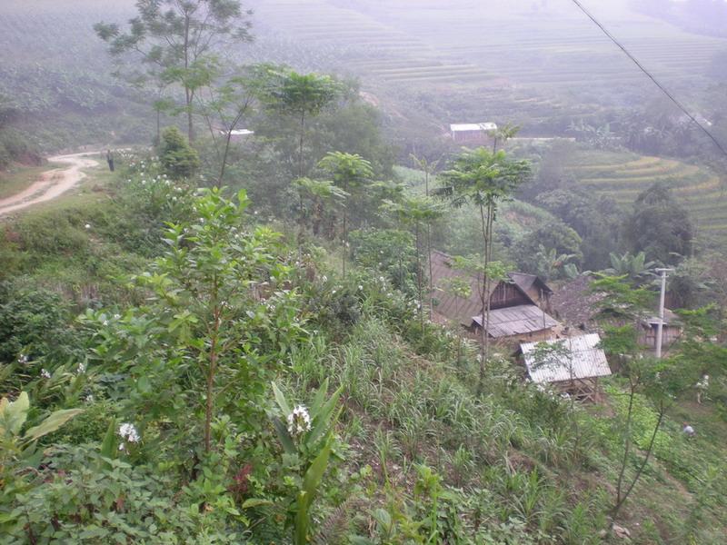 上大塘村