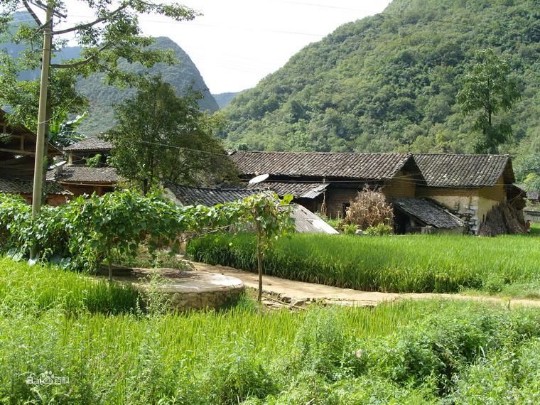 下壩村(貴州省畢節市鴨池鎮下壩村)