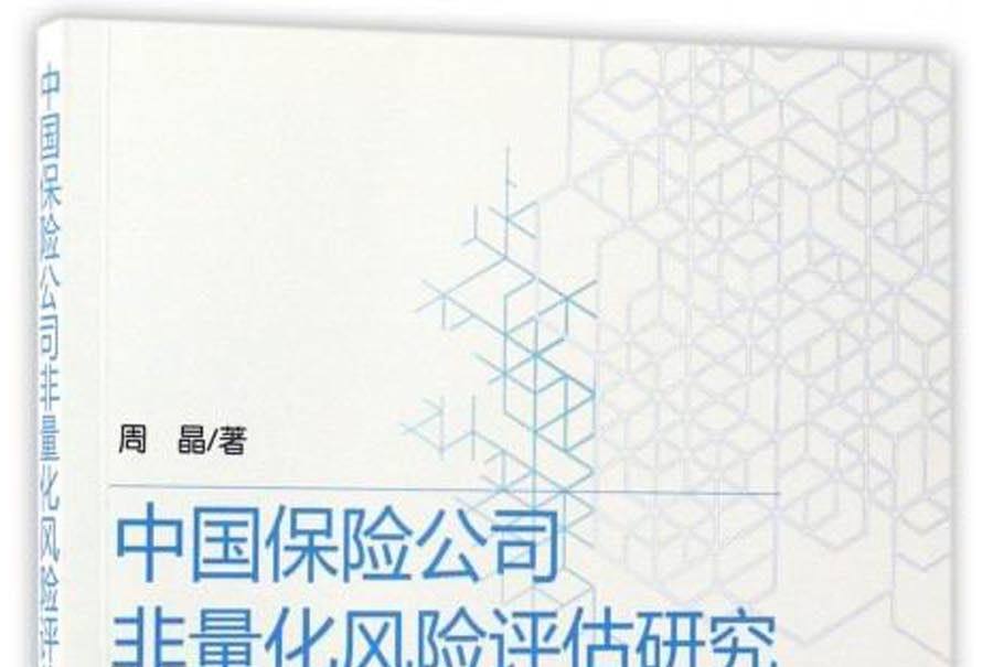 中國保險公司非量化風險評估研究