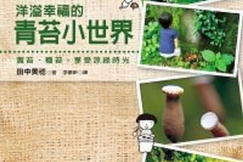 洋溢幸福的青苔小世界─賞苔、種苔，享受涼綠時光