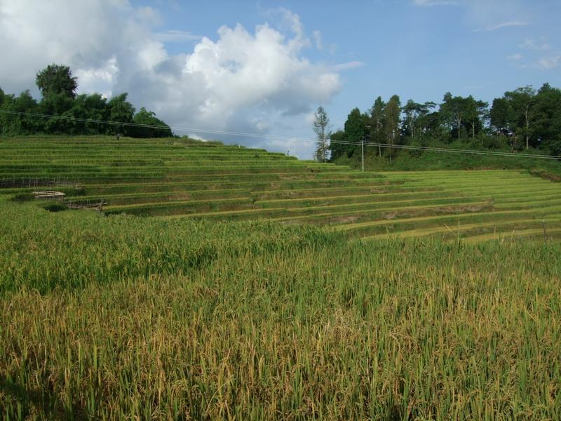 莫家寨自然村