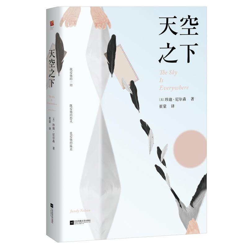 天空之下(美國作家珍迪·尼爾森所著長篇小說)