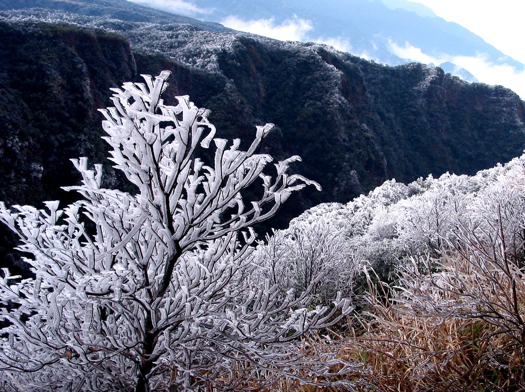 南寧大明山國際山地養生旅遊節