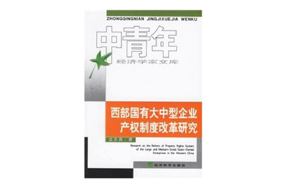 西部國有大中型企業產權制度改革研究