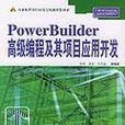 PowerBuilder高級編程及其項目套用開發