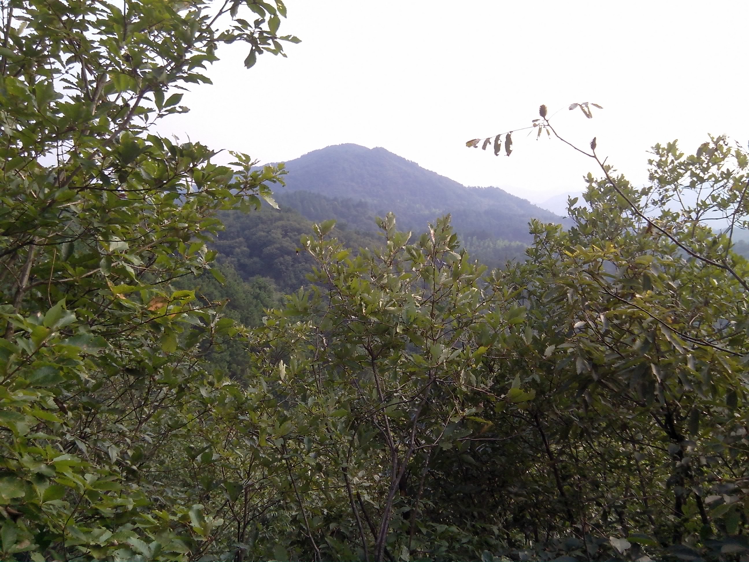 椅子石山頂處