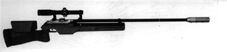 德國范維克鮑C60式4.5mm氣步槍