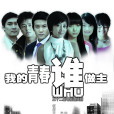 我的青春誰做主(2009年趙寶剛導演電視劇)