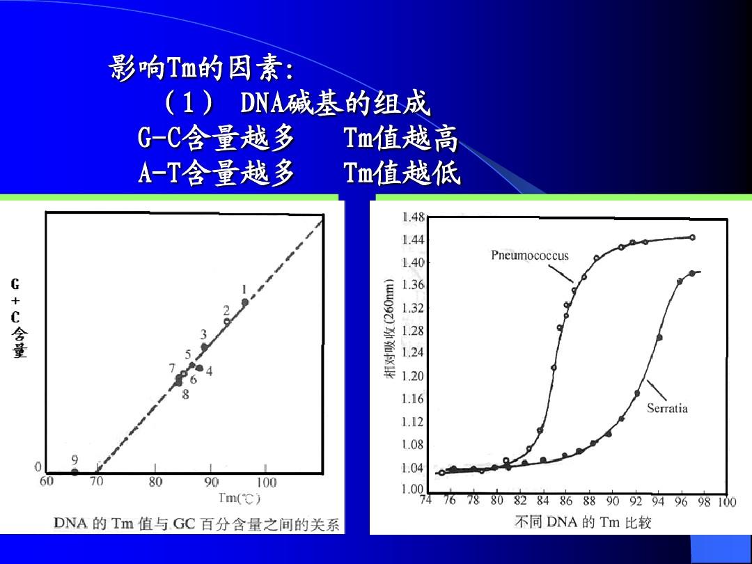 Tm值