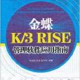 金蝶K/3RISE管理軟體套用指南