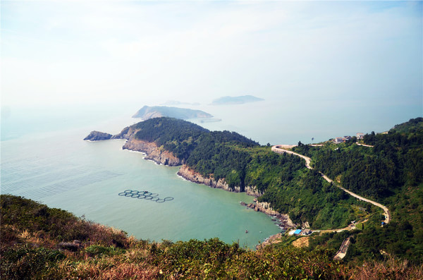 浙江淑江大陳島森林公園