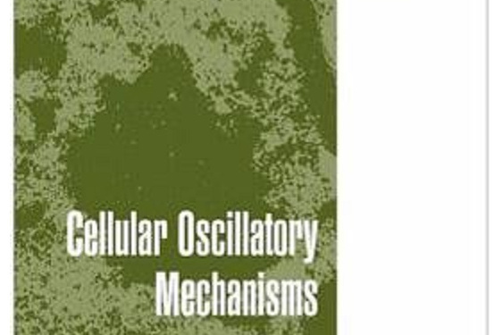 Cellular Oscillatory Mechanisms