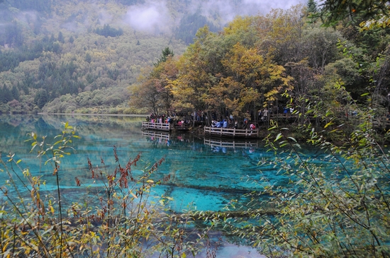 九寨溝縣(九寨溝（四川省阿壩藏族羌族自治州轄縣）)