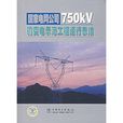 國家電網公司750kV輸變電示範工程運行總結