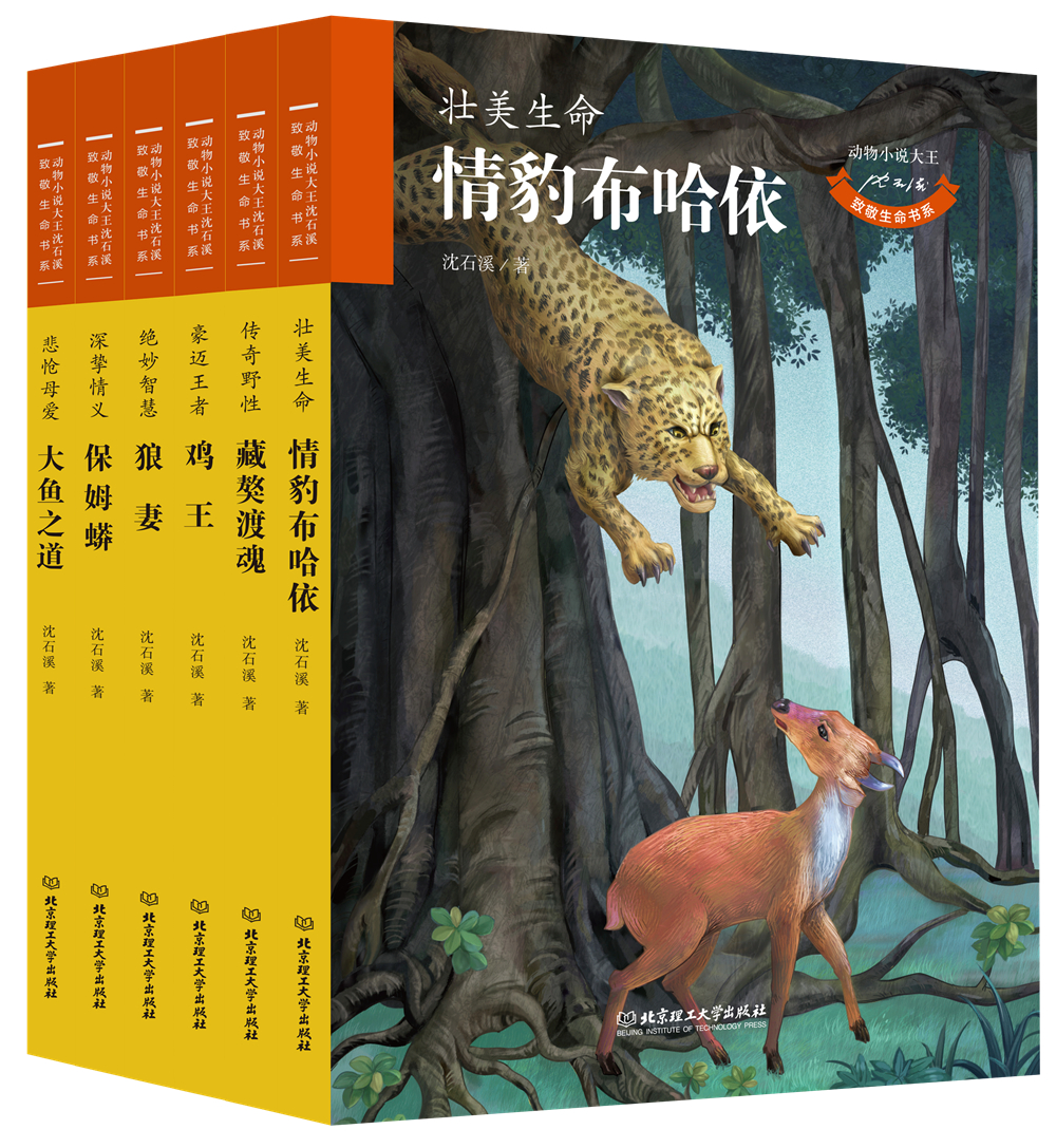 動物小說大王沈石溪·致敬生命書系（函套全6冊）