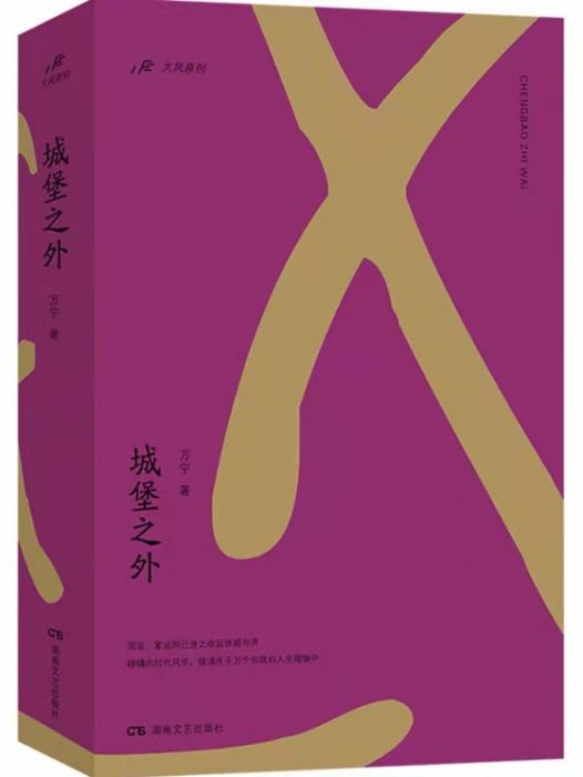 城堡之外(萬寧著長篇小說)