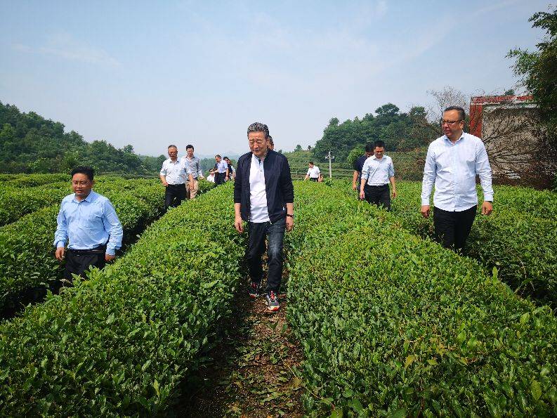 河北省茶產業促進會