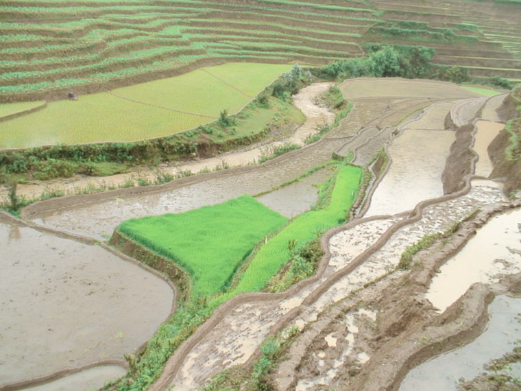 田園耕地