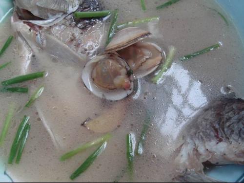 青蛤鯽魚湯