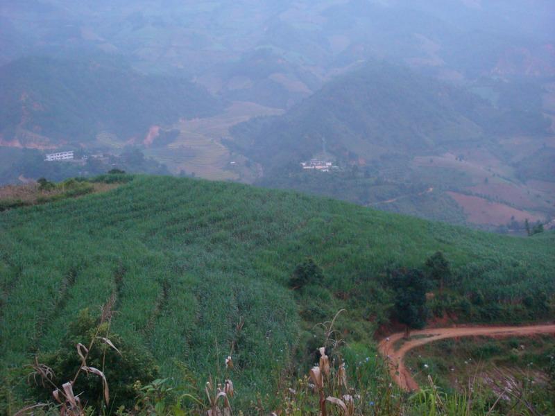 竜山村種植業