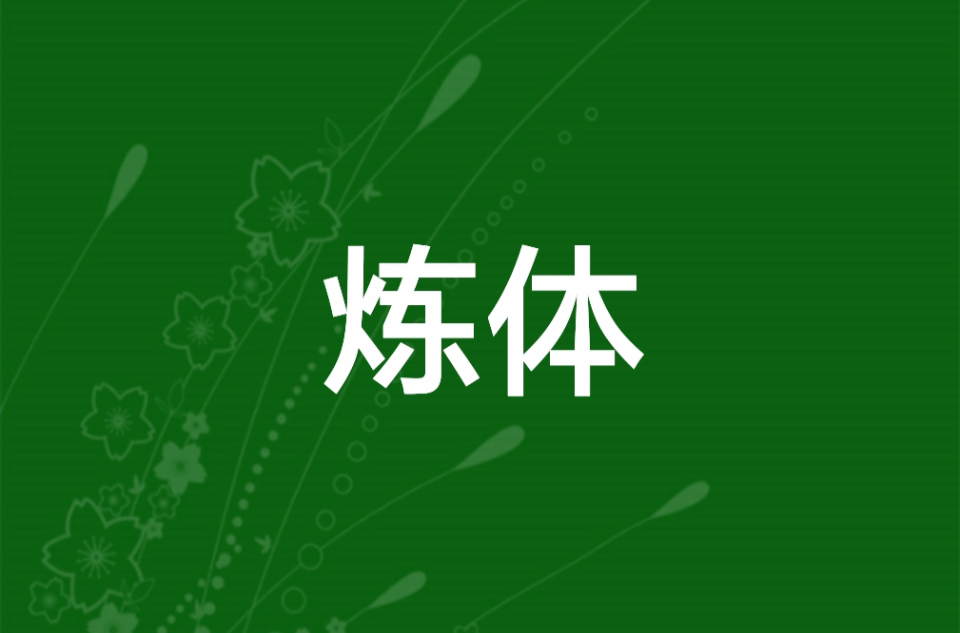 煉體(網路小說)