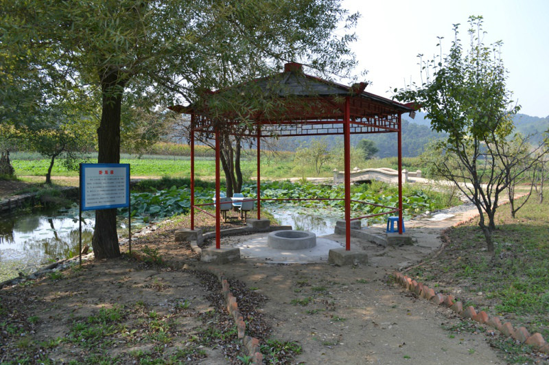 九鼎巍峰山生態農業園