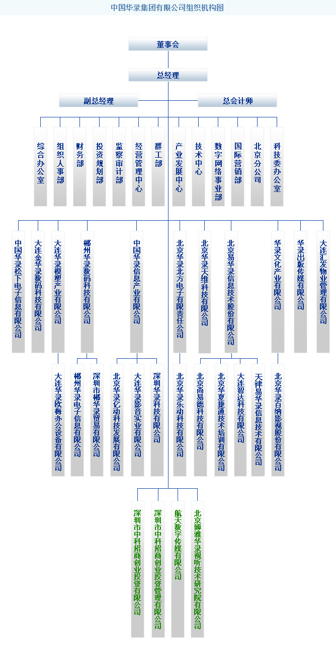 中國華錄集團有限公司組織機構圖
