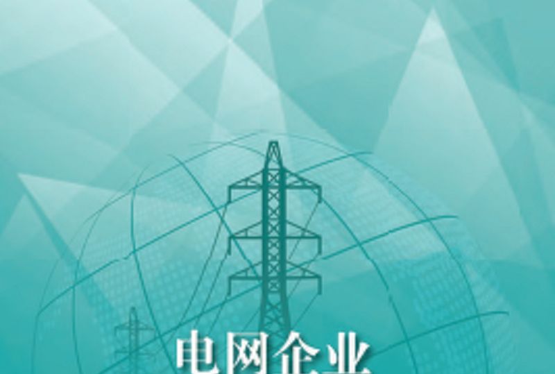 電網企業大數據監測與分析