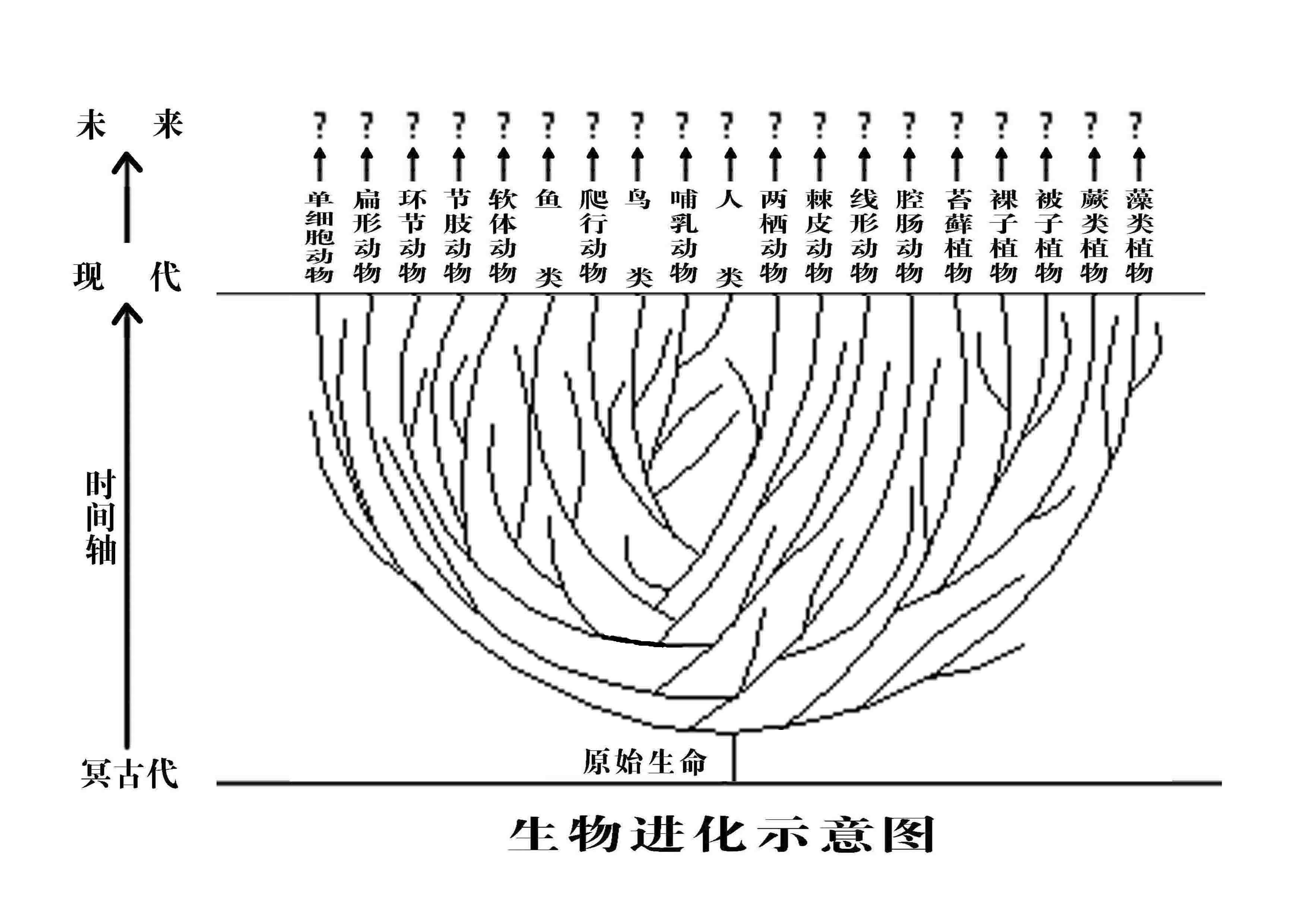 上圖告訴我們:人與其他生物眾生平等