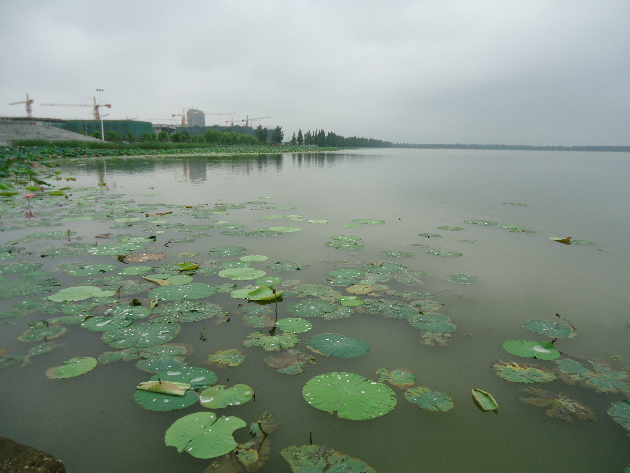 莫愁湖