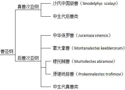 混元獸