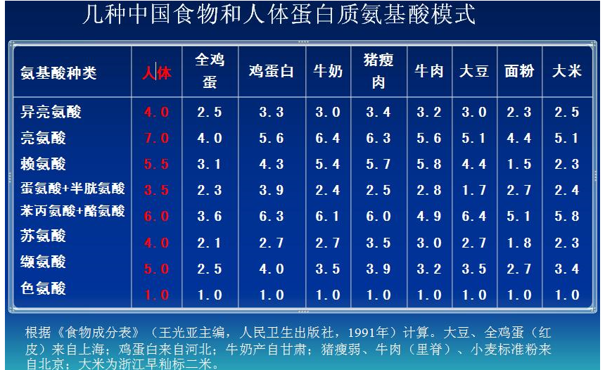 人體蛋白質胺基酸模式