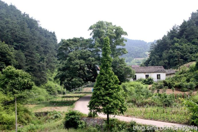 民生村(山東濱州市霑化區河口街道下轄村)