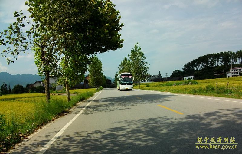 紅岩村道路