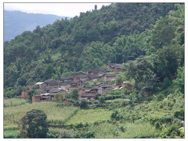 下花椒村